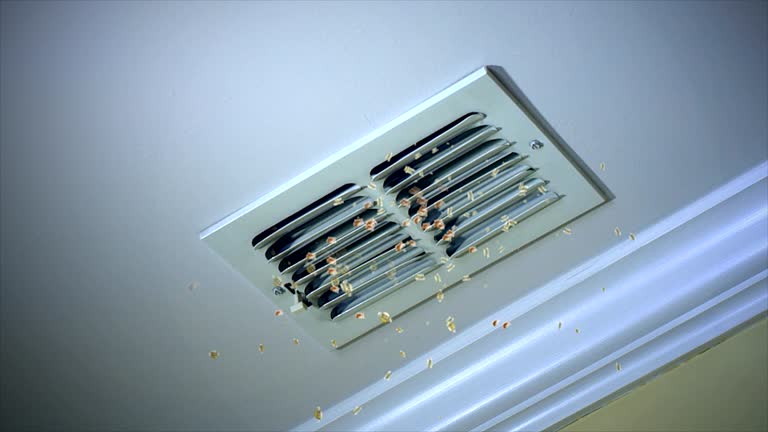 Best Best Air Duct Cleaning Company  in Schofield, WI